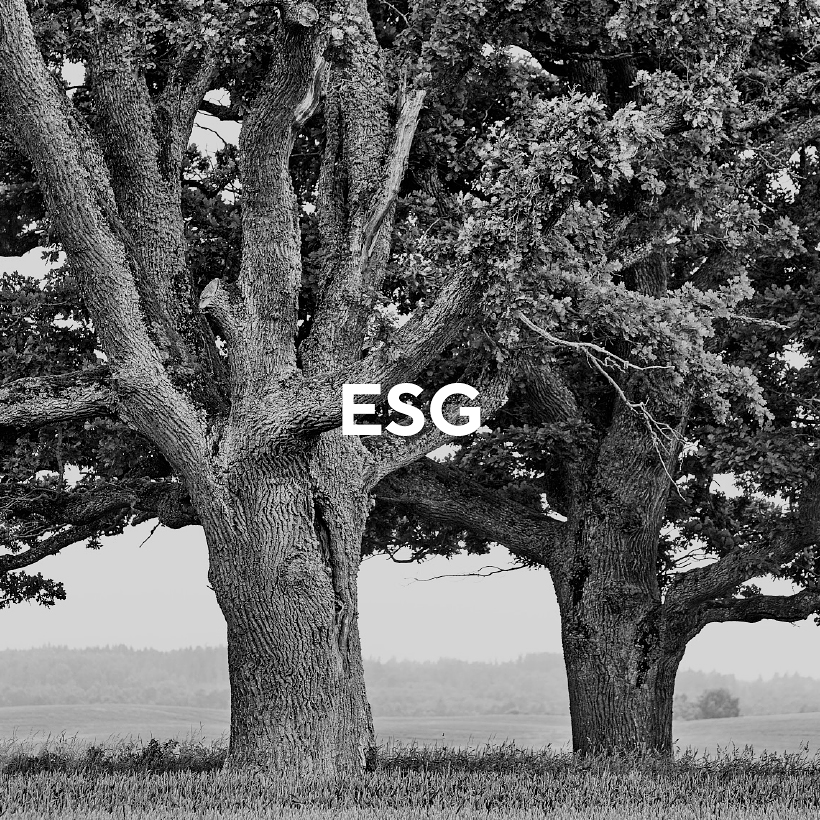ESG - AS MADARA Cosmetics